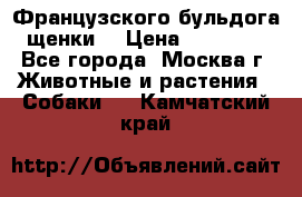 Французского бульдога щенки  › Цена ­ 35 000 - Все города, Москва г. Животные и растения » Собаки   . Камчатский край